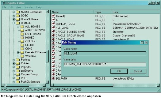 NLS_LANG-Einstellung in der Registry editieren