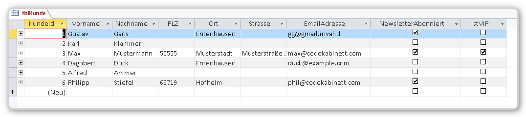 Datenblattansicht der Beispieltabelle