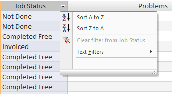 Sort and filter menu on Microsoft Access form data sheet column header